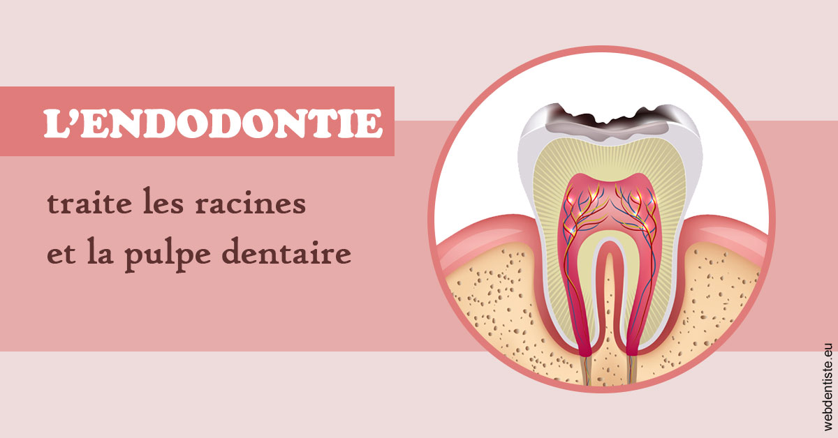 https://selarl-docteurs-korbendau.chirurgiens-dentistes.fr/L'endodontie 2